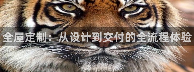 bB电子琴和弦