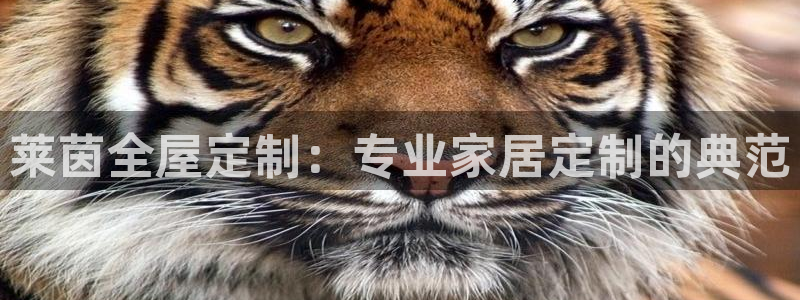 bb电子mini彩金