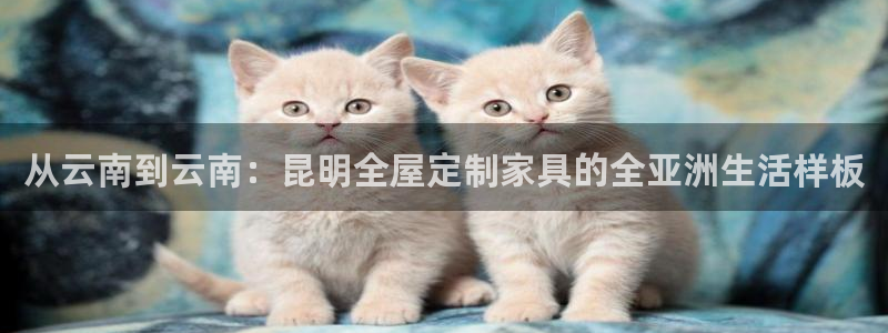 bb电子怎么英语怎么说