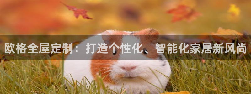 BB电子连环夺宝