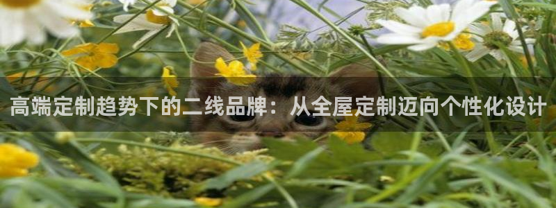 bB电子琴和弦