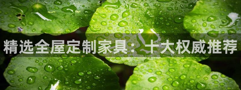 BB电子麻将胡了